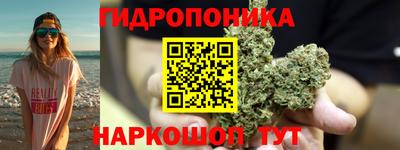 гидра Краснодар