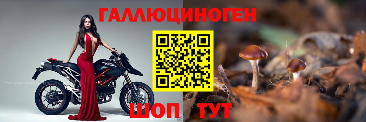 Галлюциногенные грибы мухоморы  Вход с VPN  Шадринск 